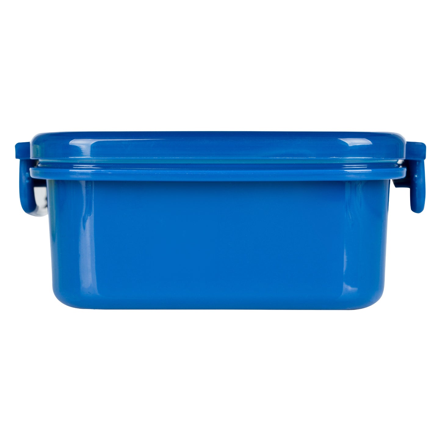 Brotdose mit Trennwänden Dino