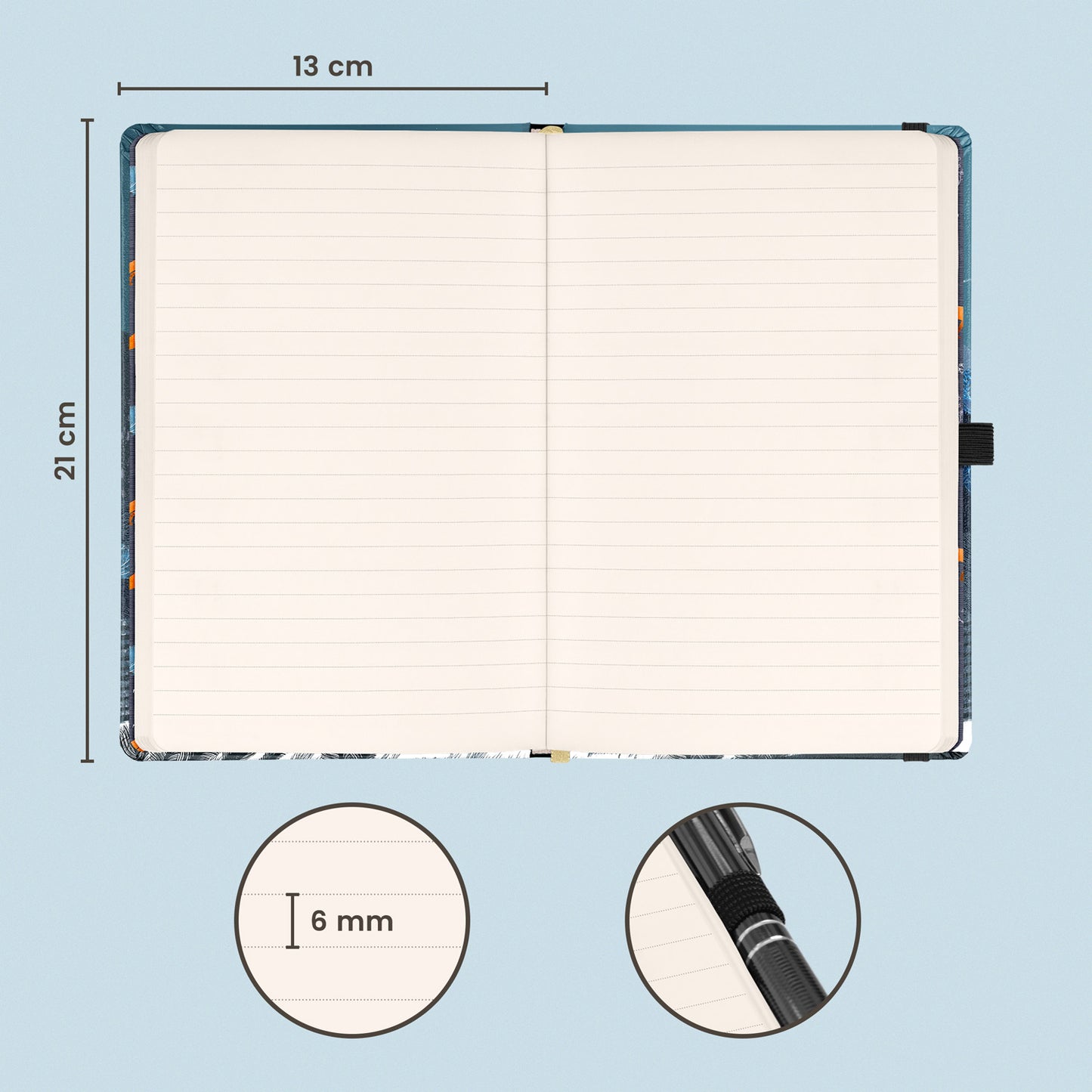 Notizbuch Animalium – Lucie Jenčíková, liniert, 13 x 21 cm
