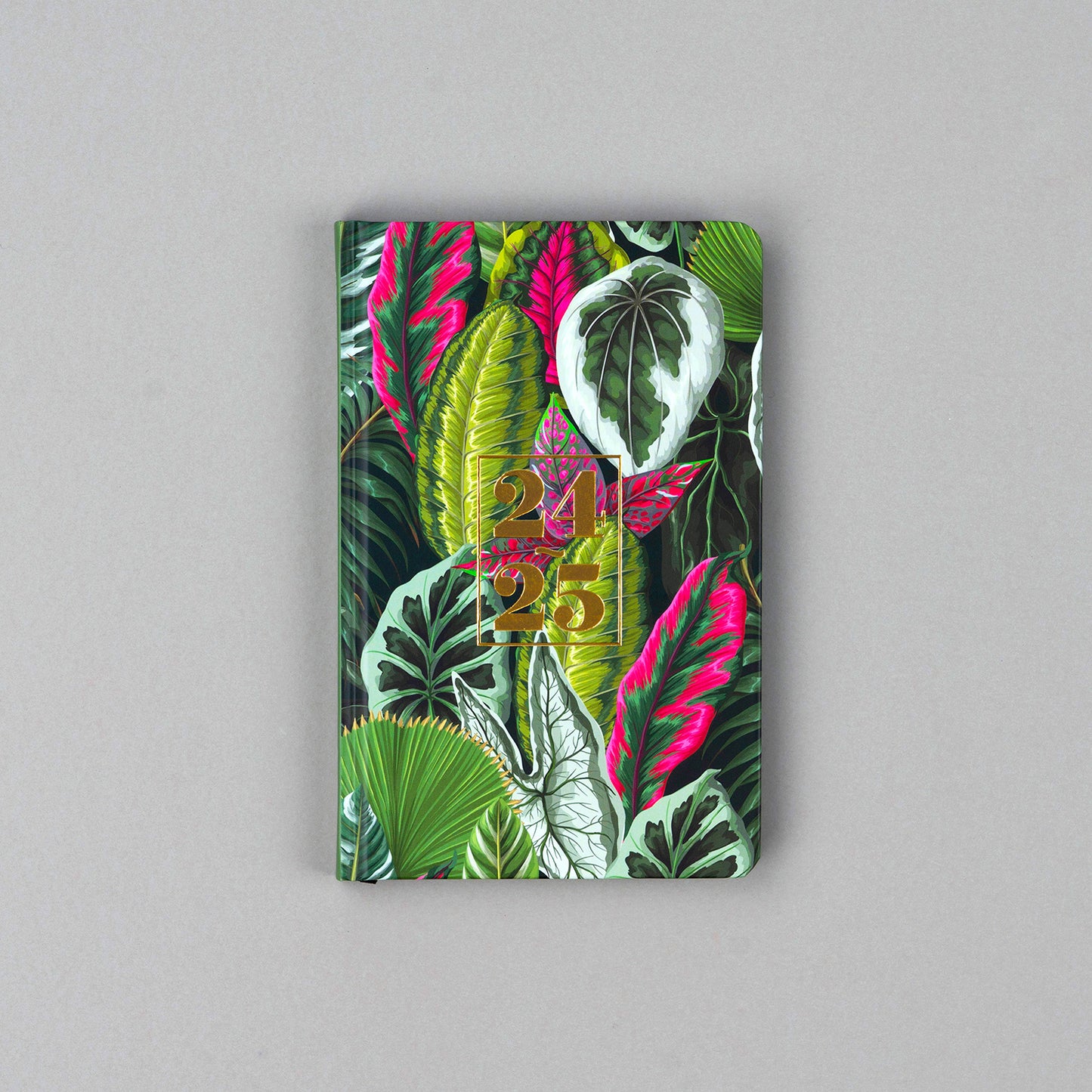 18-Monats- Terminplaner Petito - Blätter 2024/2025, 11 x 17 cm