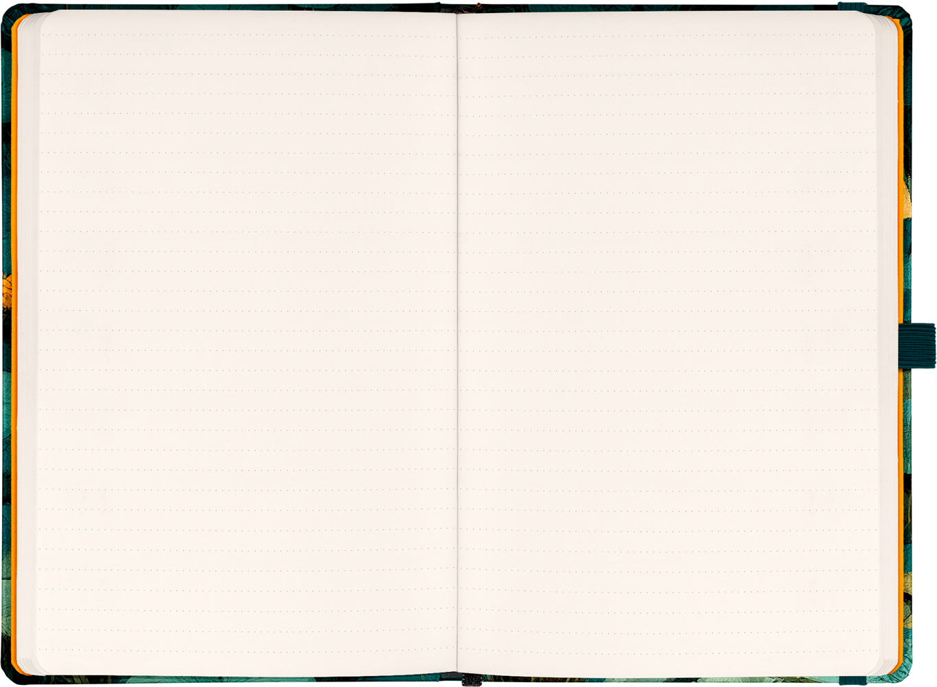 Planbook Planer/Notizbuch Cat 2027, 13 x 21 cm
