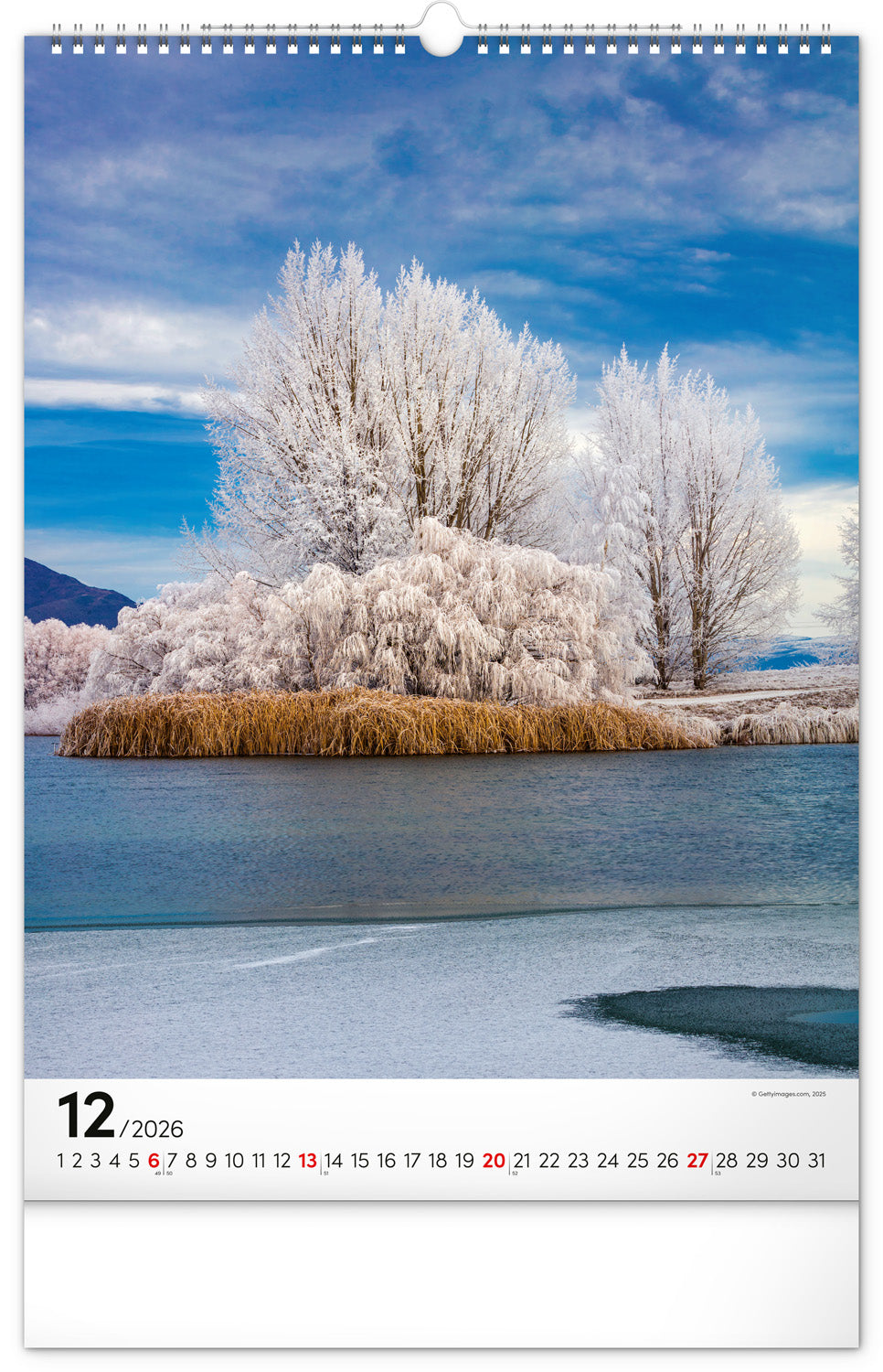 Wandkalender Bäume 2026, 33 x 46 cm