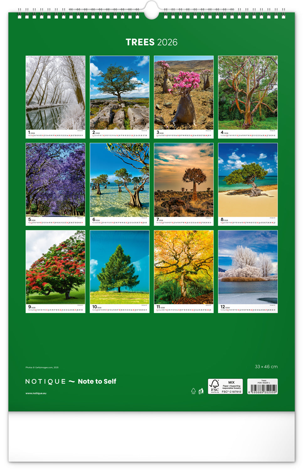 Wandkalender Bäume 2026, 33 x 46 cm