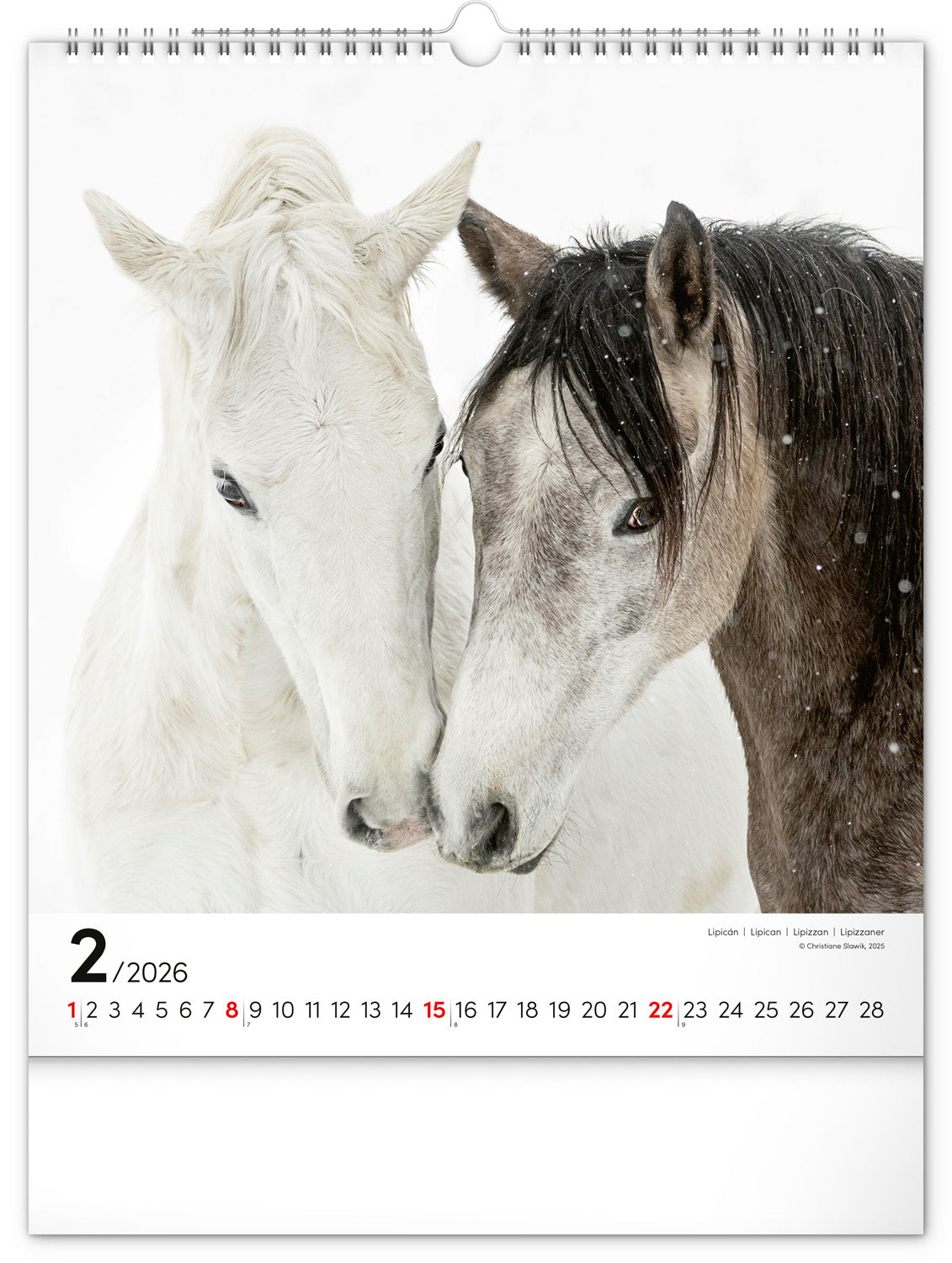 Wandkalender Pferde 2026, 30 x 34 cm