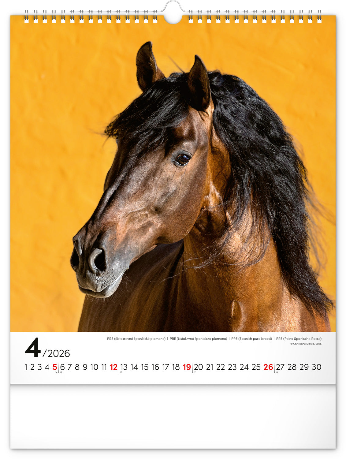 Wandkalender Pferde 2026, 30 x 34 cm