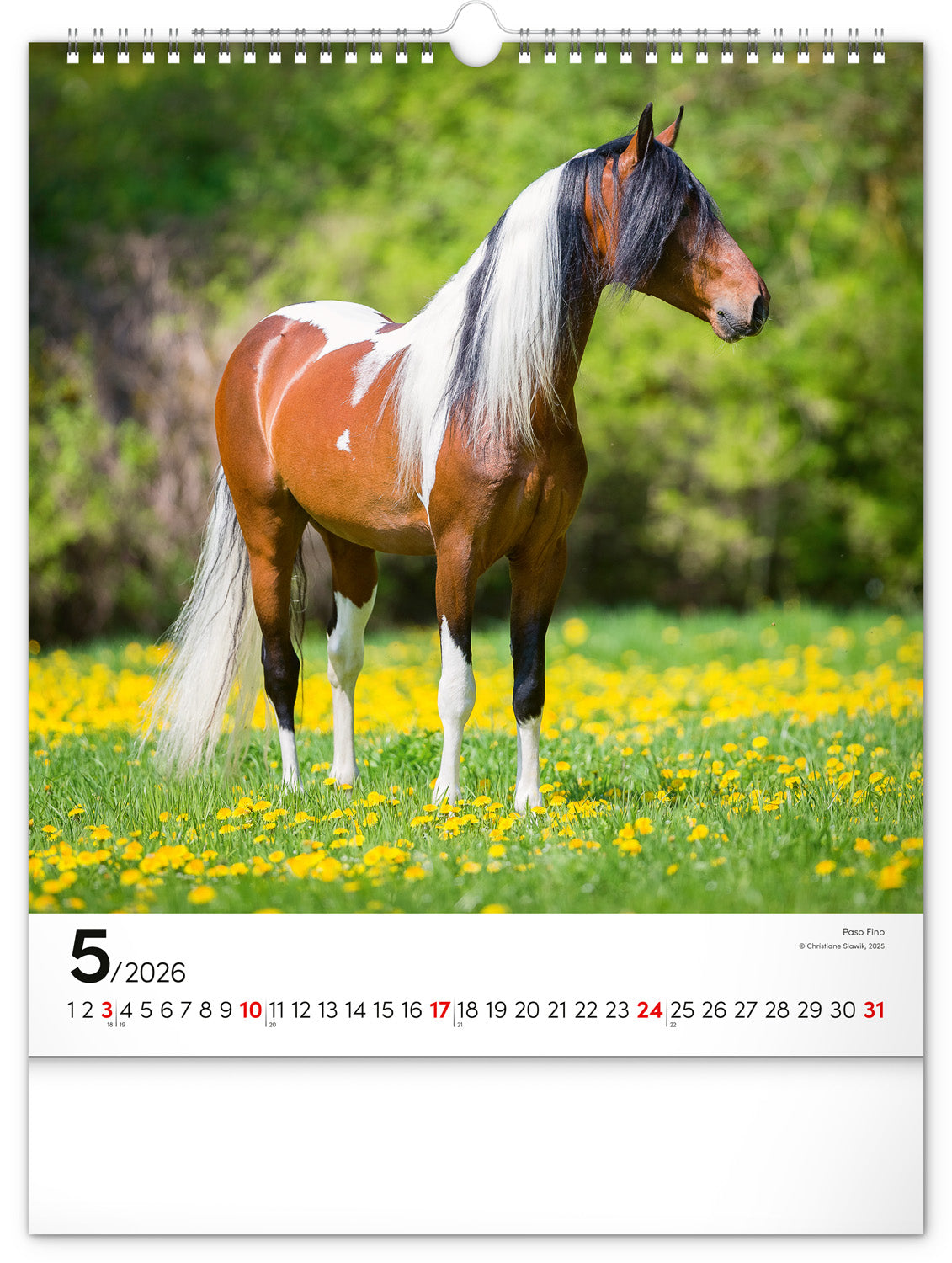 Wandkalender Pferde 2026, 30 x 34 cm
