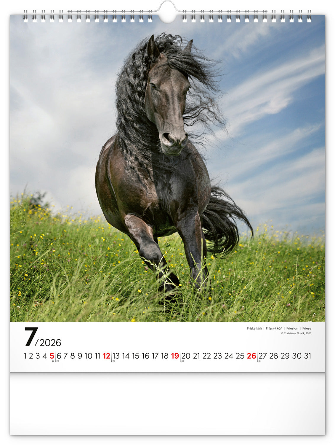Wandkalender Pferde 2026, 30 x 34 cm
