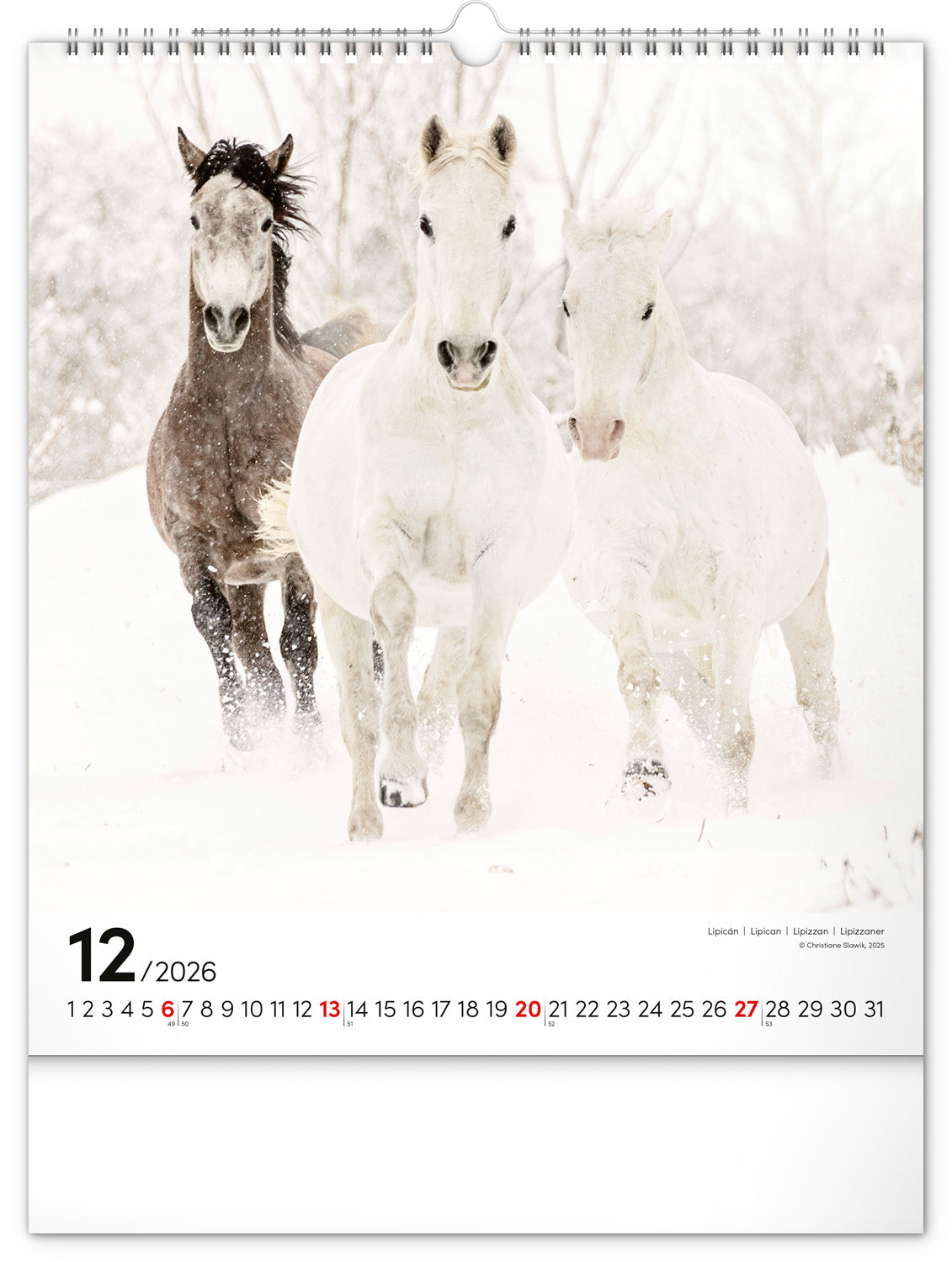 Wandkalender Pferde 2026, 30 x 34 cm