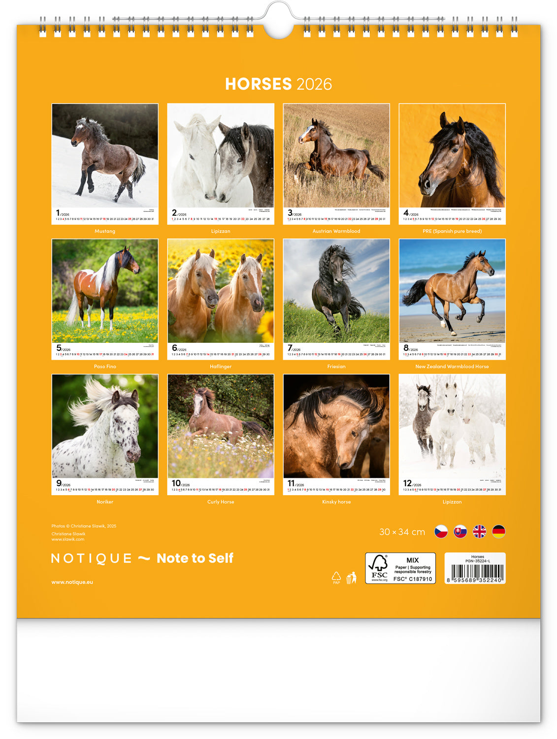 Wandkalender Pferde 2026, 30 x 34 cm