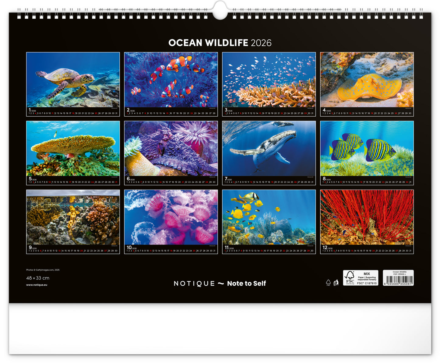 Wandkalender Unterwasserwelt 2026, 48 x 33 cm