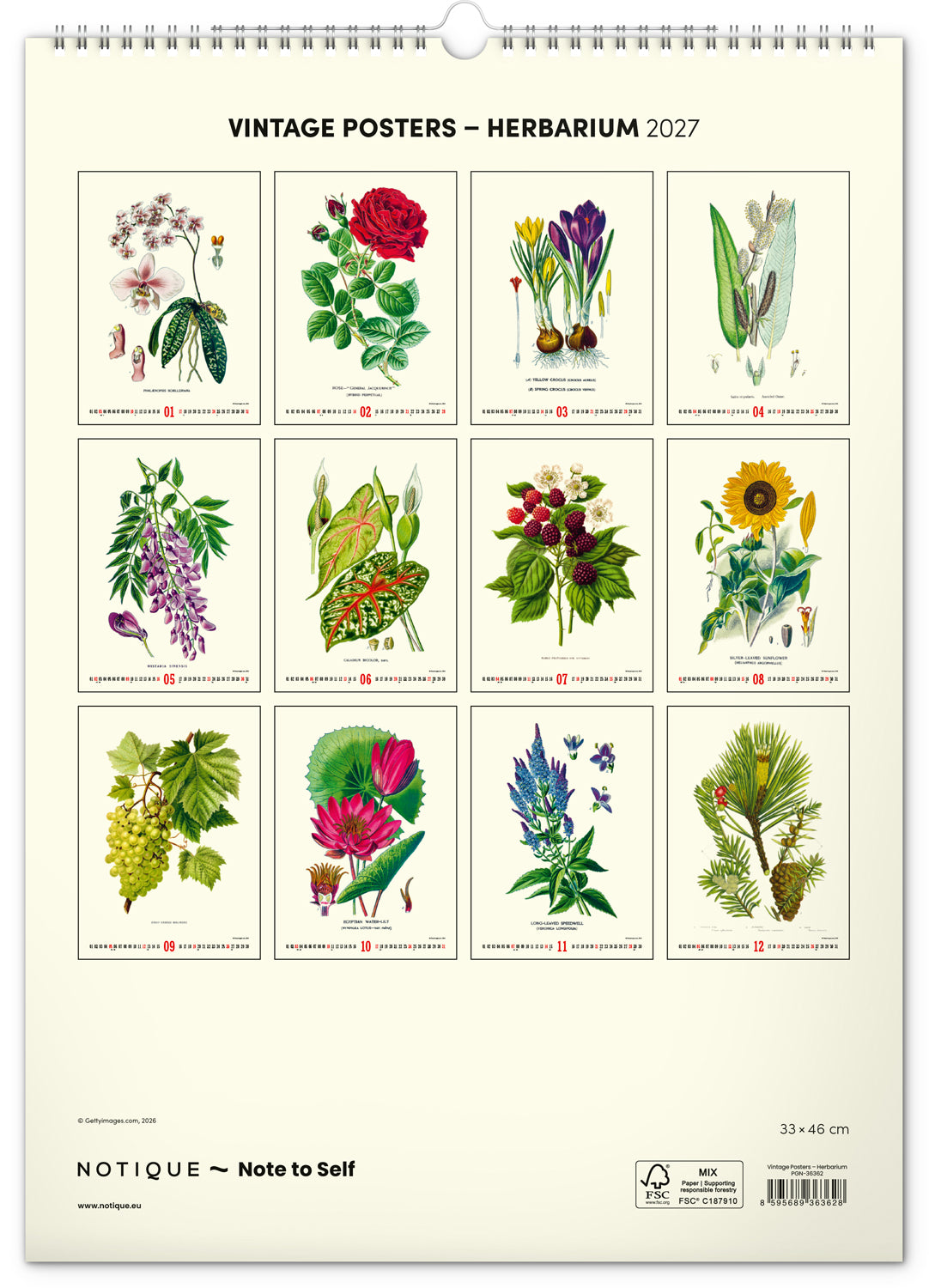 Wandkalender Vintage-Plakate – Herbarium 2027, 33 x 46 cm