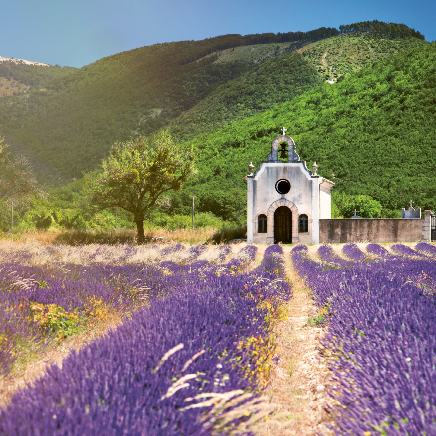 Broschürenkalender Provence 2024, duftig, 30 × 30 cm