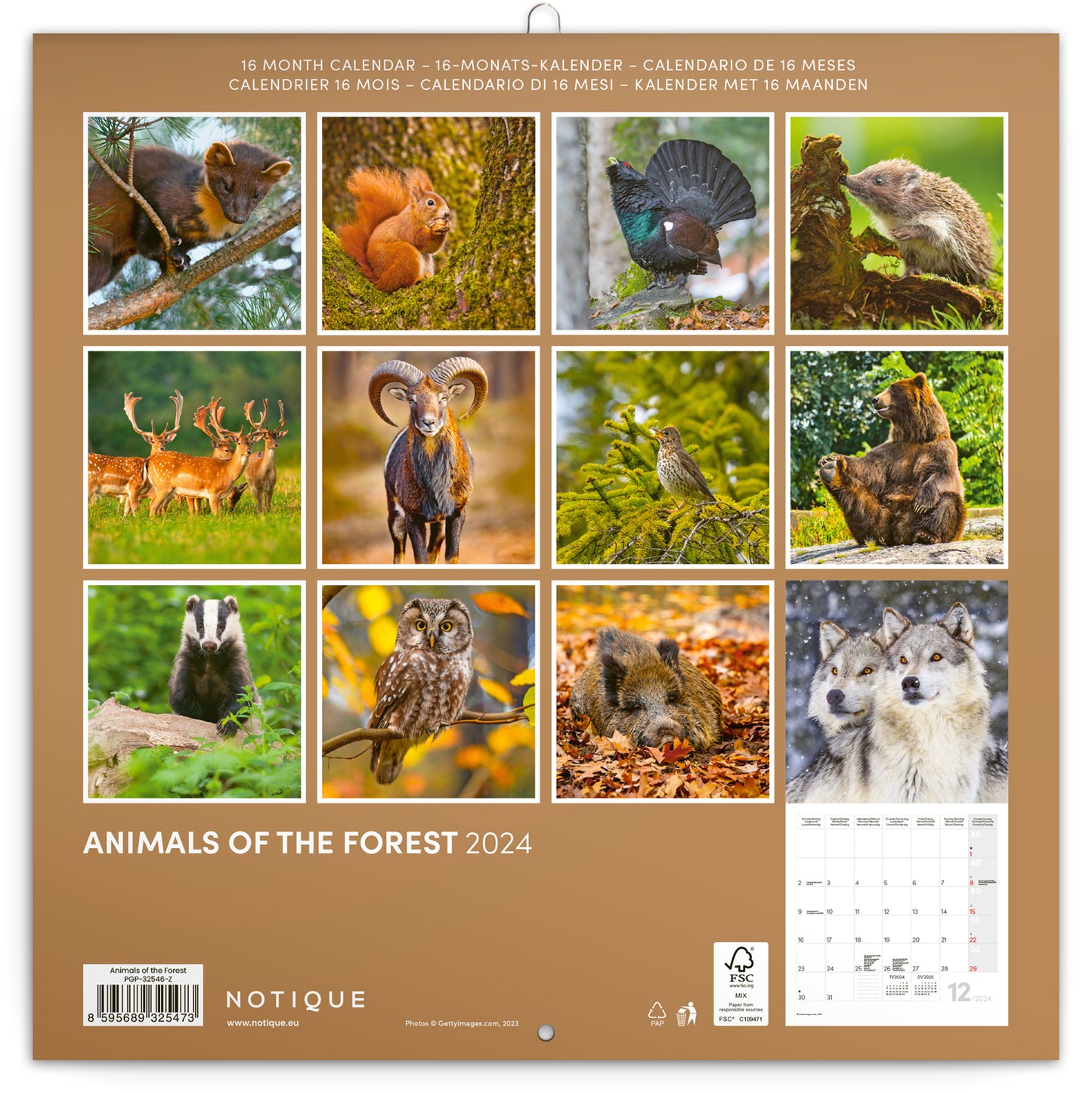 Broschürenkalender Waldtiere 2024, 30 × 30 cm