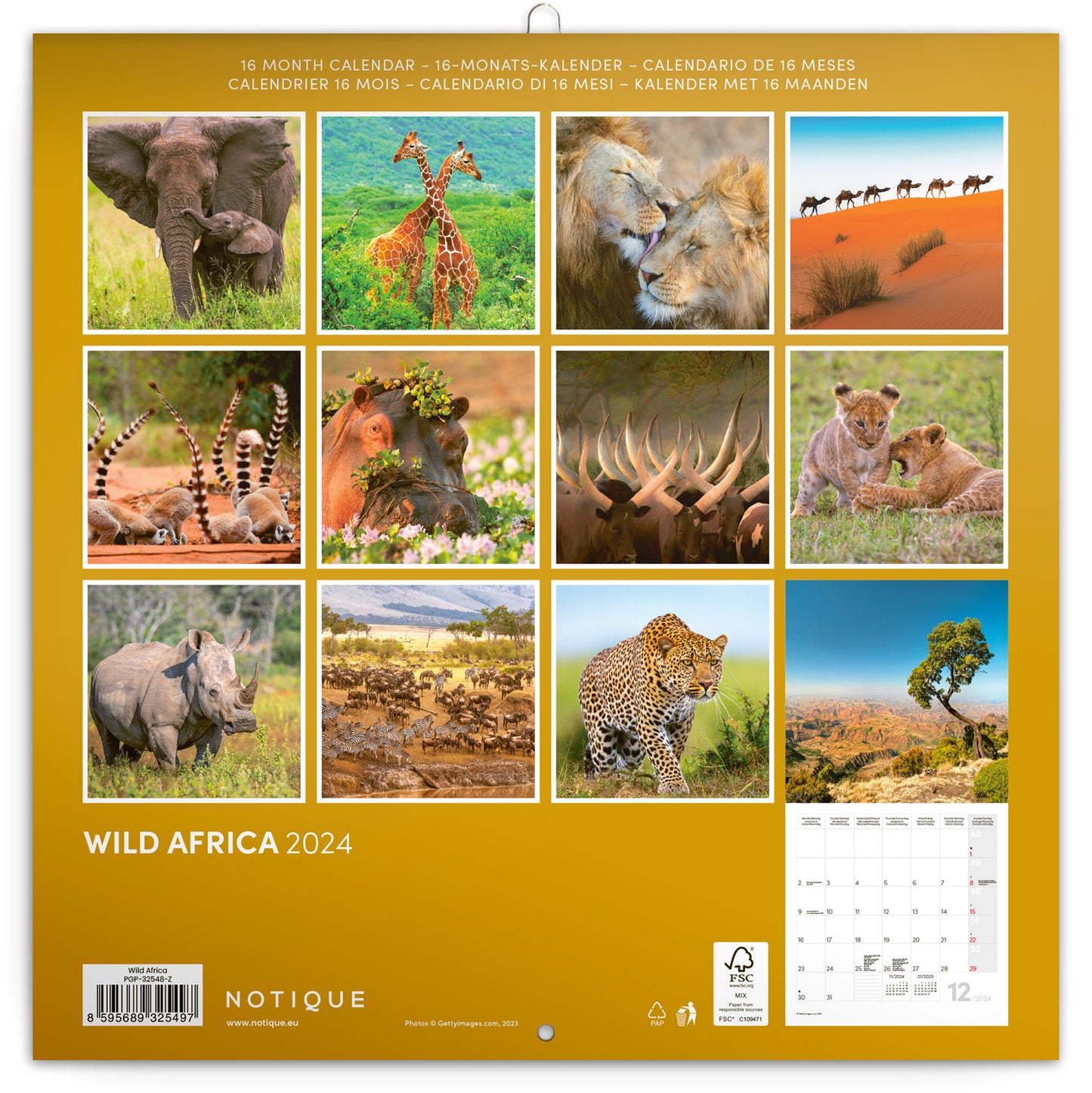 Broschürenkalender Wildes Afrika 2024, 30 × 30 cm