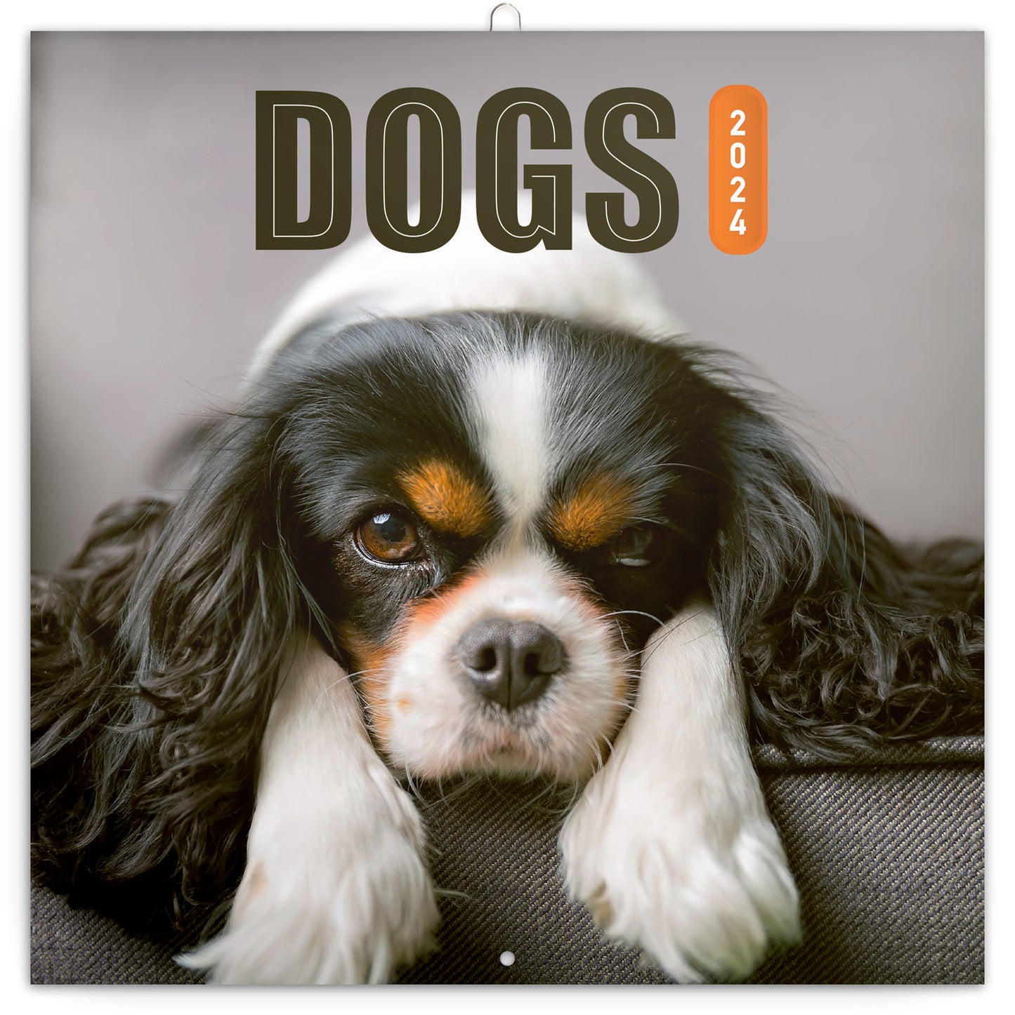 Broschürenkalender Hunde 2024, 30 × 30 cm