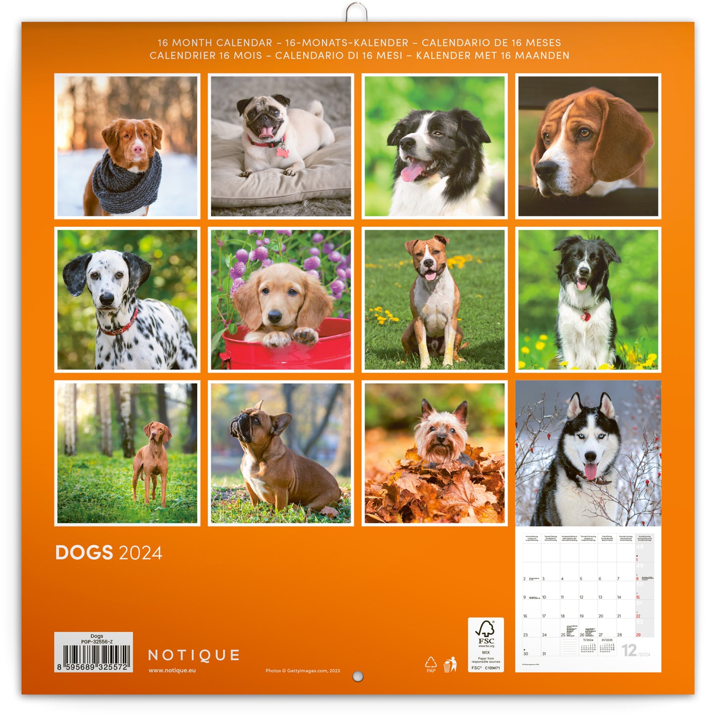 Broschürenkalender Hunde 2024, 30 × 30 cm