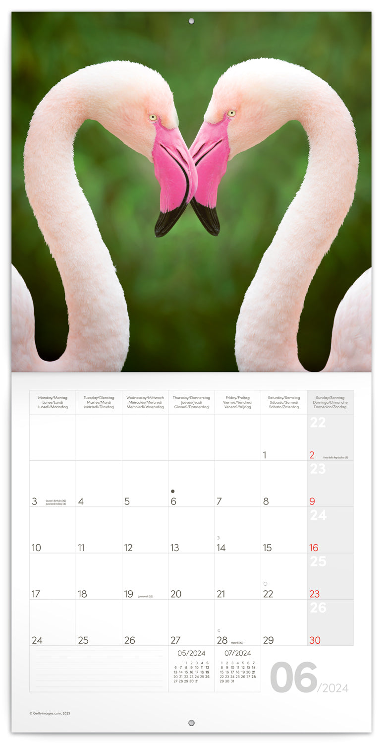 Broschürenkalender Jungtier 2024, 30 × 30 cm