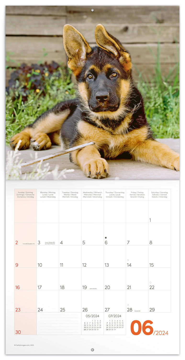 Broschürenkalender Welpen 2024