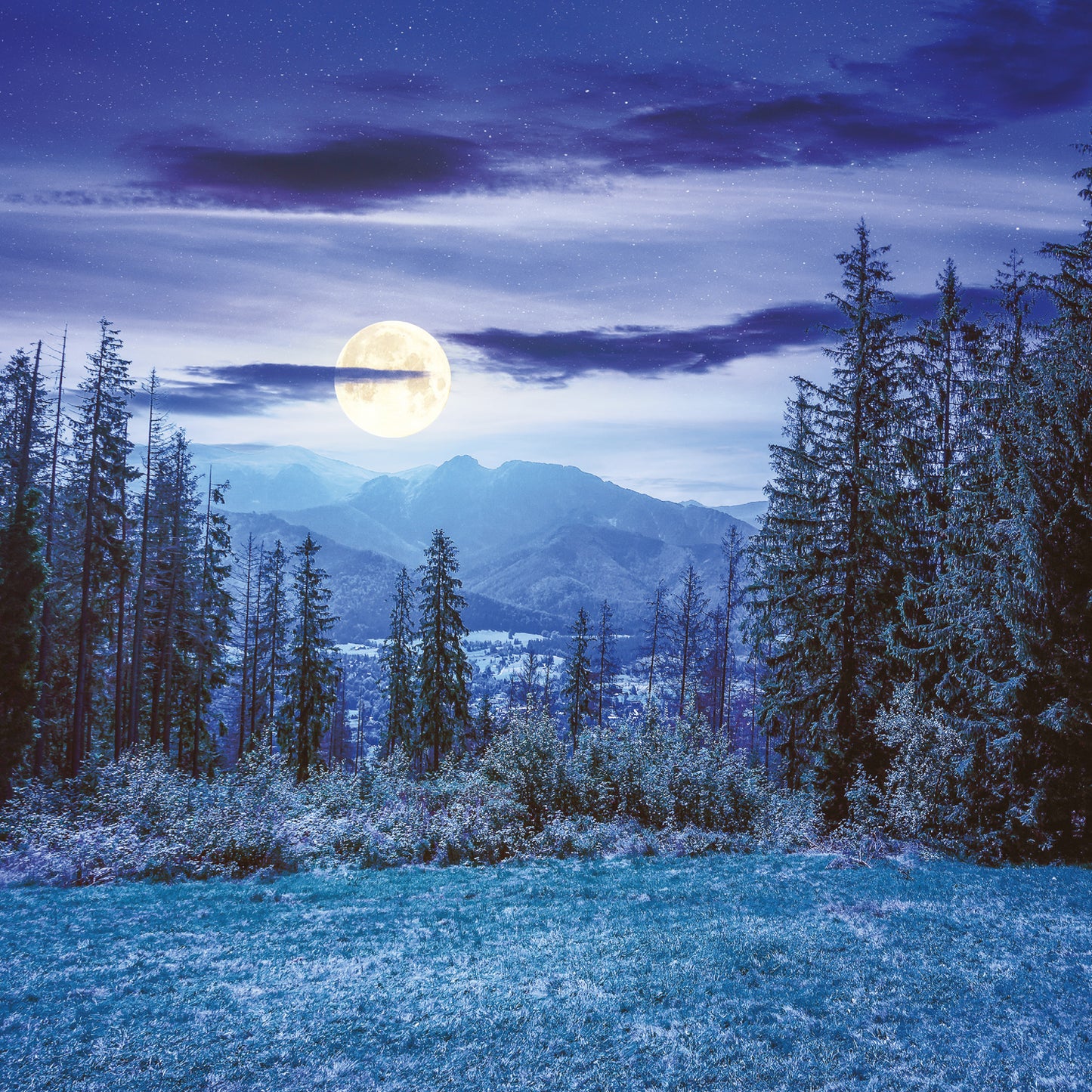Broschürenkalender Mond 2025, 30 x 30 cm