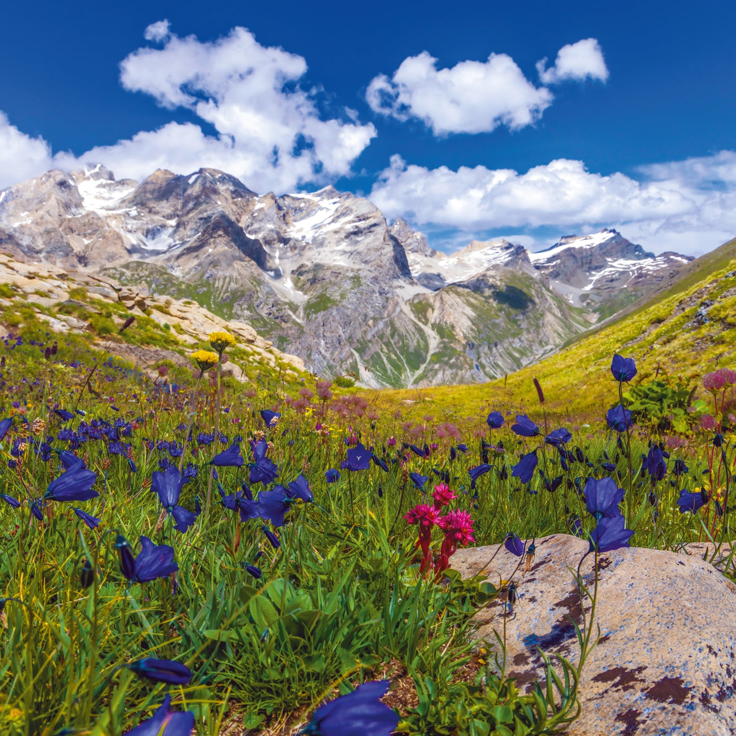 Broschürenkalender Alpen 2025, 30 x 30 cm