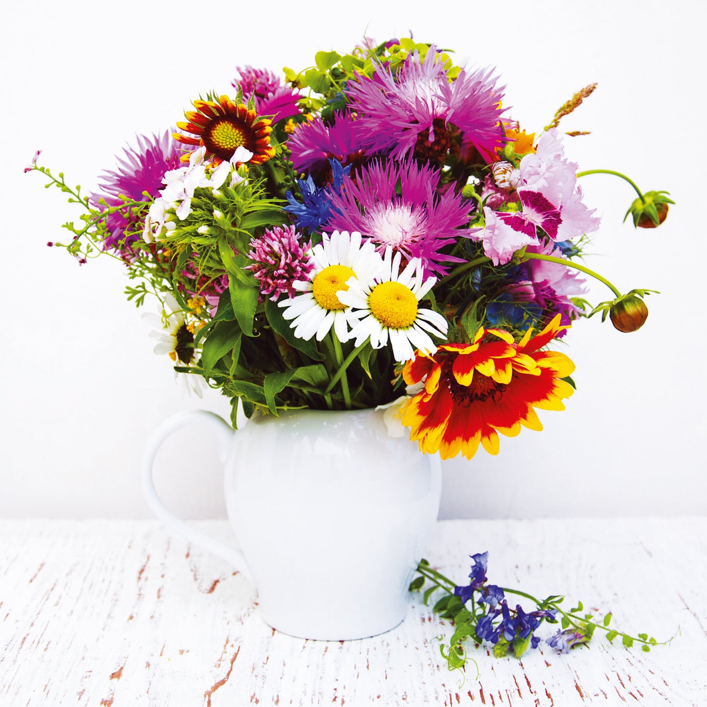 Broschürenkalender Blumen 2025, 30 x 30 cm