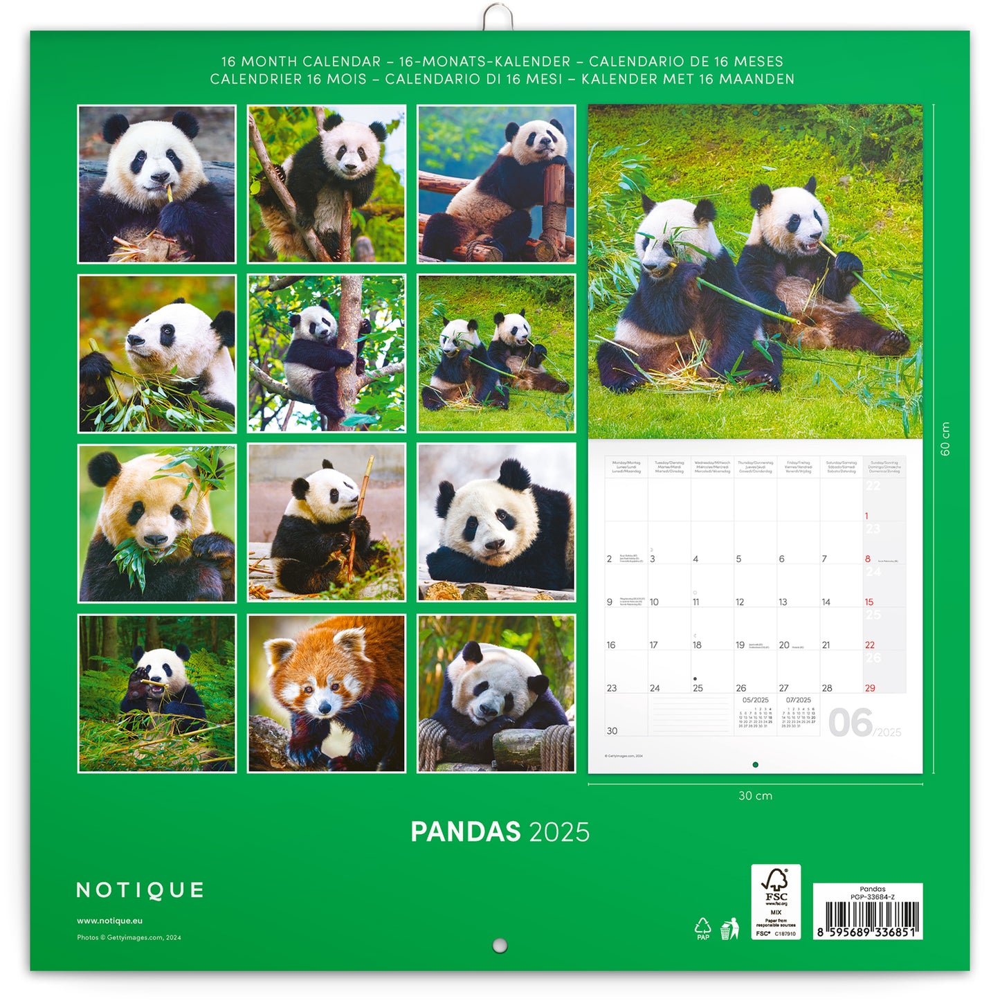 Broschürenkalender Pandas 2025, 30 x 30 cm