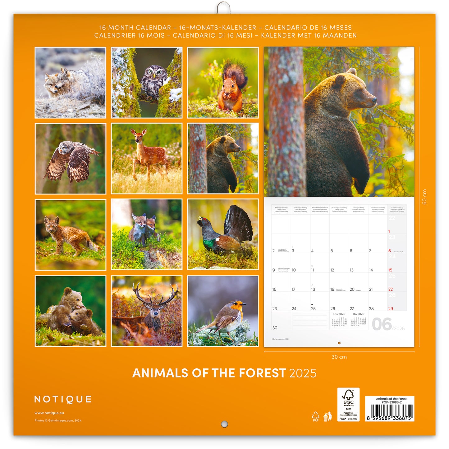 Broschürenkalender Tiere des Waldes 2025, 30 x 30 cm