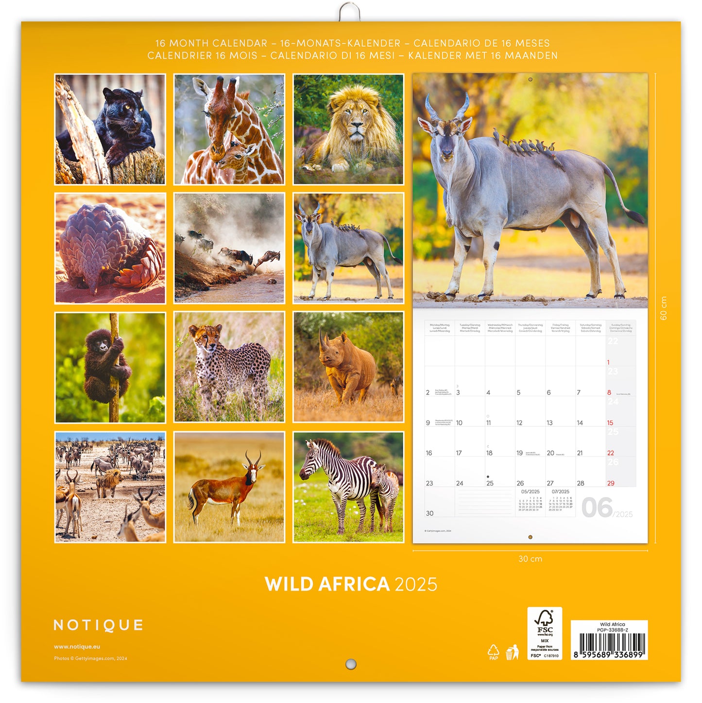 Broschürenkalender Wildes Afrika 2025, 30 x 30 cm