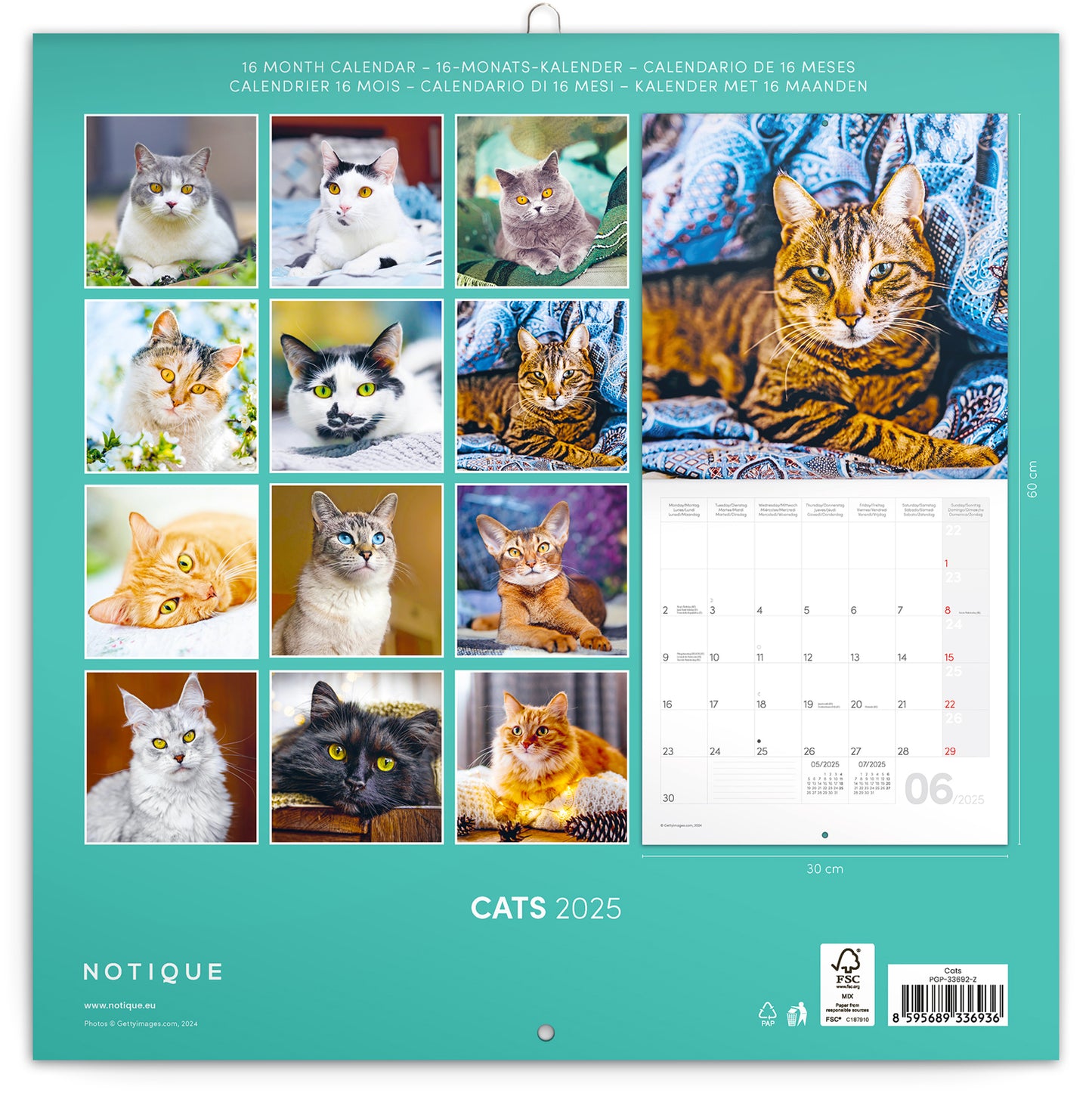 Broschürenkalender Katzen 2025, 30 x 30 cm