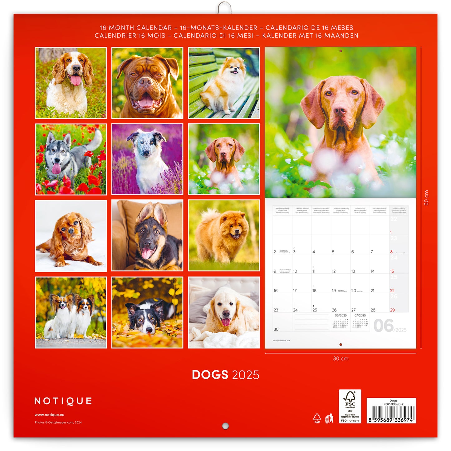 Broschürenkalender Hunde 2025, 30 x 30 cm