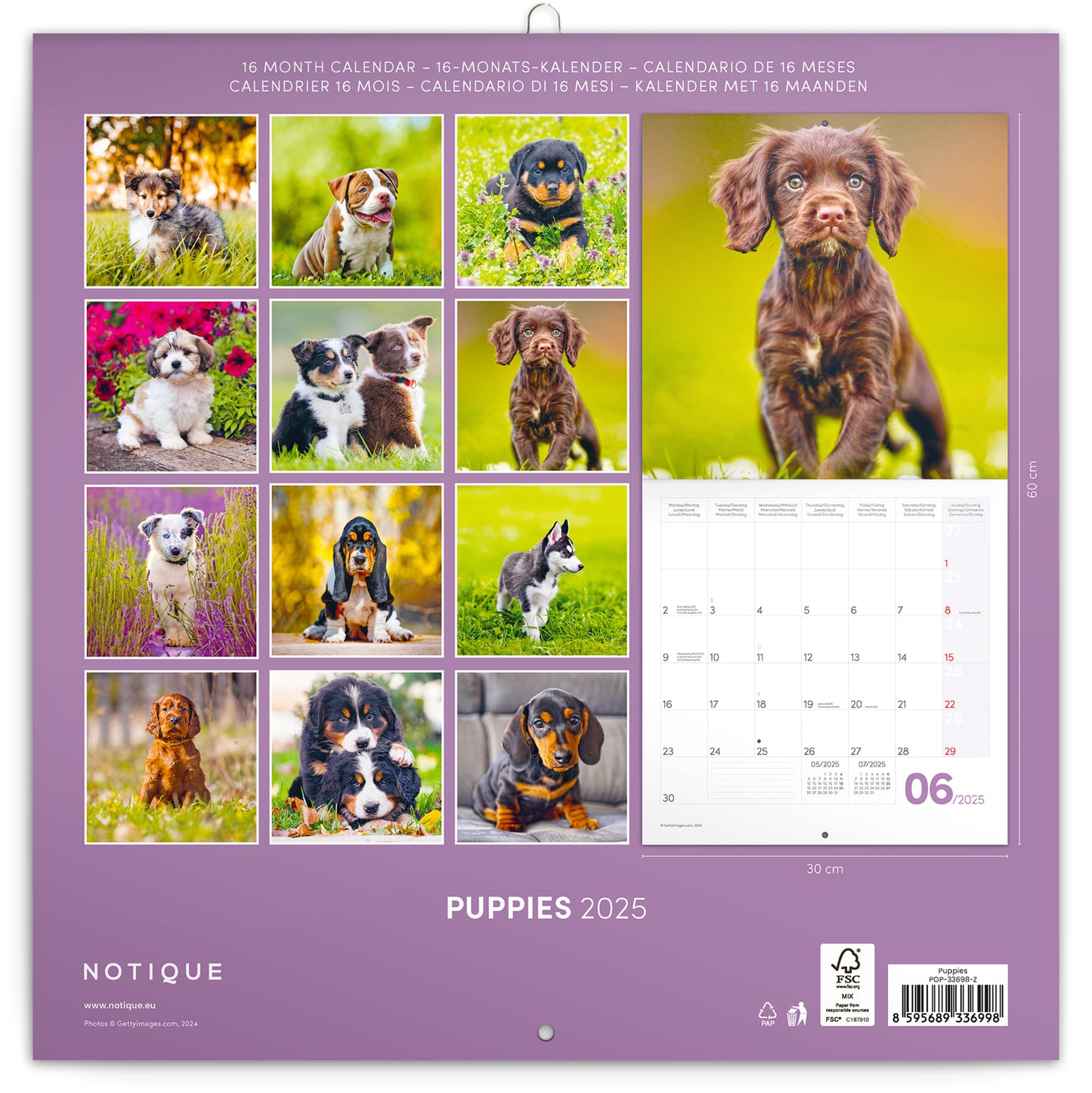 Broschürenkalender Welpen 2025, 30 x 30 cm