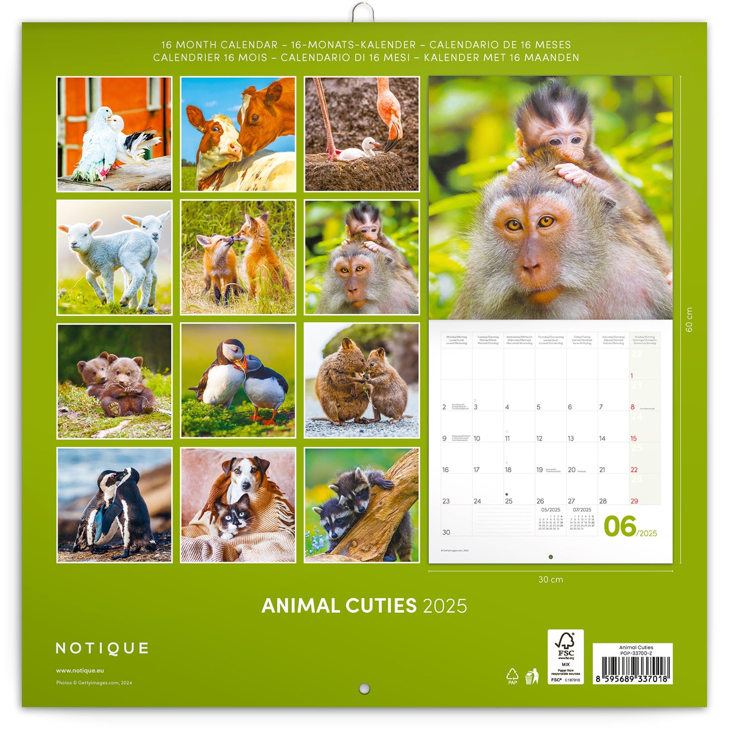 Broschürenkalender Tierbabies 2025, 30 x 30 cm