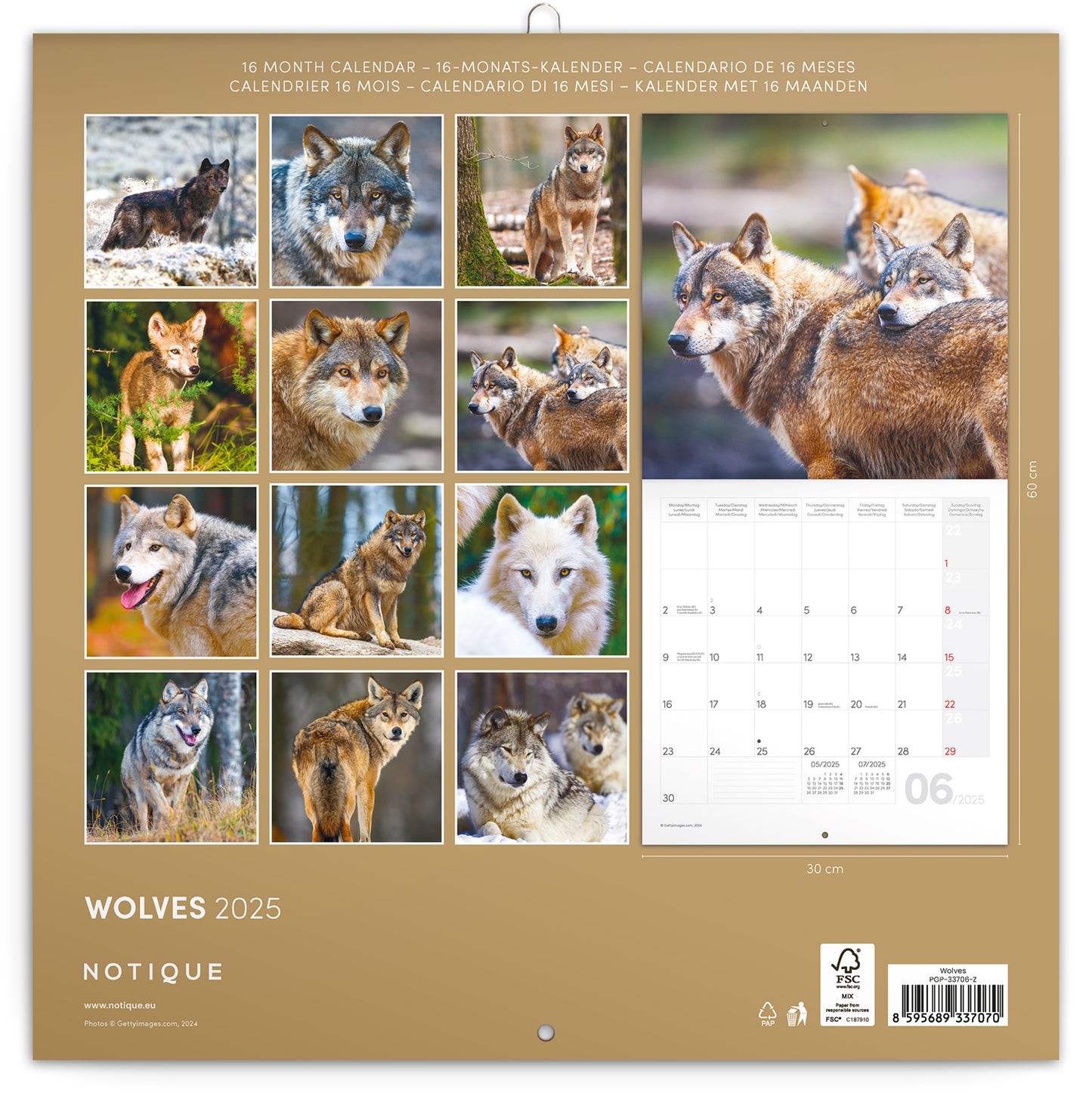 Broschürenkalender Wölfe 2025, 30 x 30 cm
