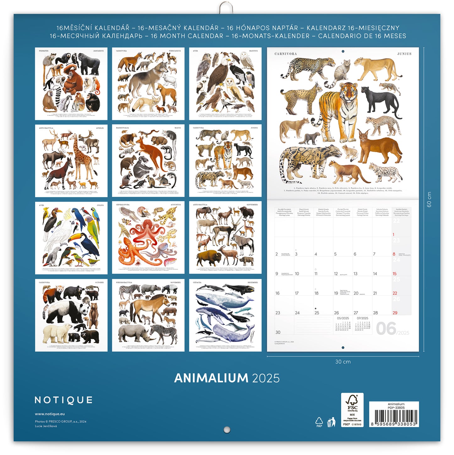 Animalium Broschürenkalender 2025, 30 x 30 cm