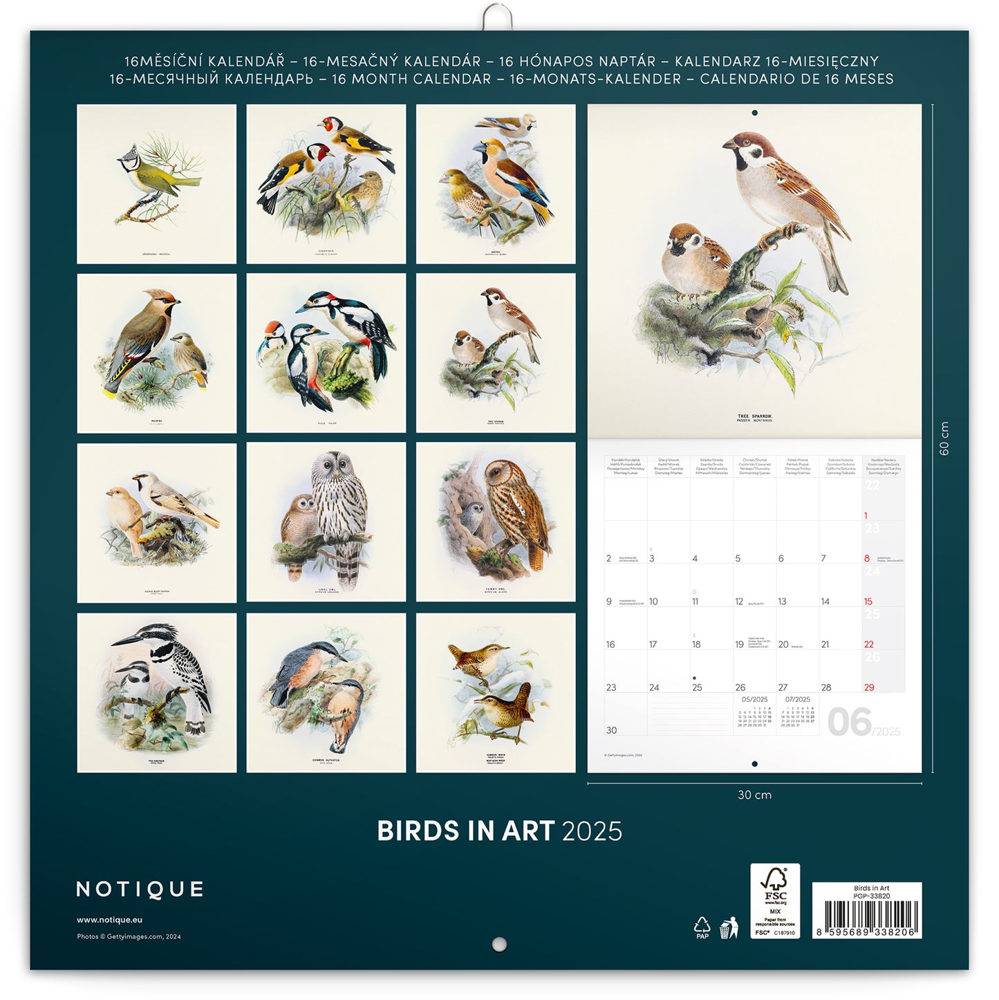 Broschürenkalender Vögel 2025, 30 x 30 cm