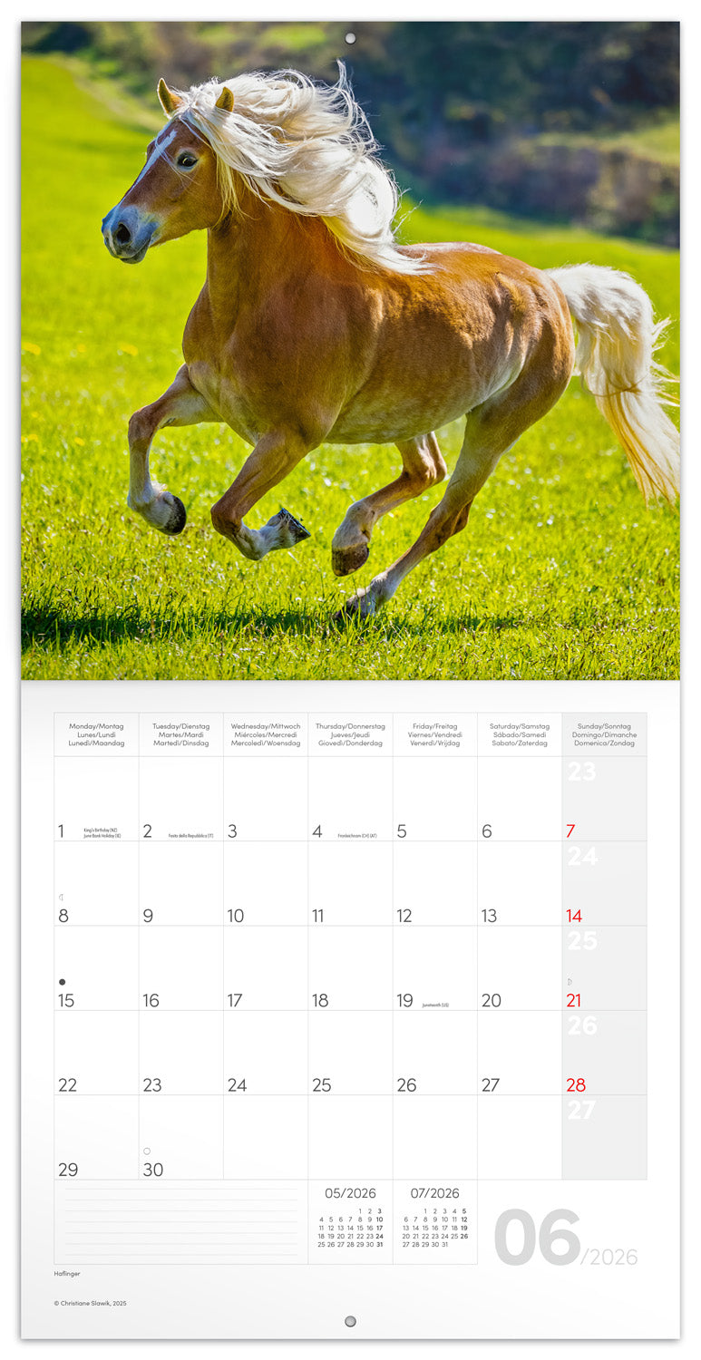 Broschürenkalender Koně – Christiane Slawik 2026, 30 x 30 cm