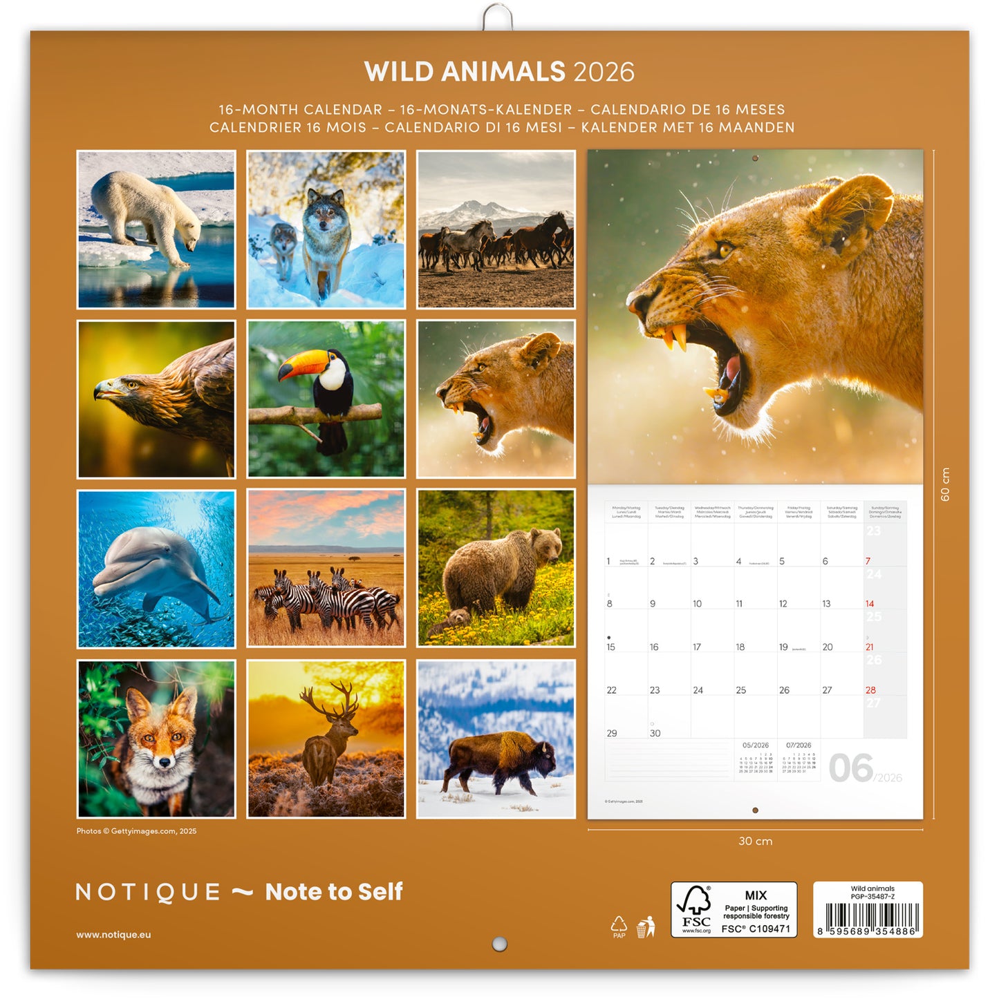 Broschürenkalender Wilde Tiere 2026, 30 x 30 cm