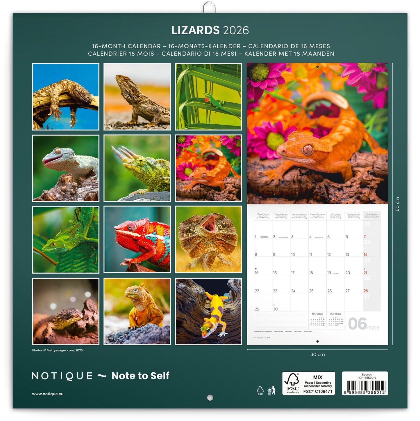 Broschürenkalender Echsen 2026, 30 x 30 cm