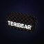 Skate TERIBEAR Rucksack-Set 3tlg: Rucksack, Federmäppchen, Turnbeutel