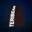 Skate TERIBEAR Rucksack-Set 3tlg: Rucksack, Federmäppchen, Turnbeutel