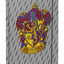 Zippy Harry Potter Gryffindor Schulranzen-Set 5tlg: Schulranzen, Federmäppchen, Turnbeutel, Brotdose, Geldbörse
