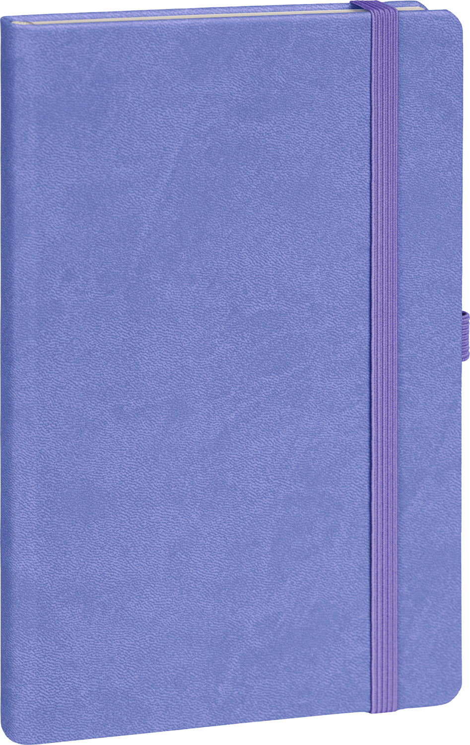 Notizbuch Lila, gepunktet, 13 × 21 cm