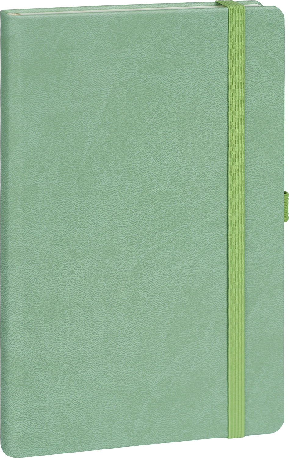 Notizbuch Grün, gepunktet, 13 × 21 cm