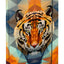 Shelly Wild Tiger Schulranzen-Set 5tlg: Schulranzen, Federmäppchen, Turnbeutel, Brotdose, Heftmappe