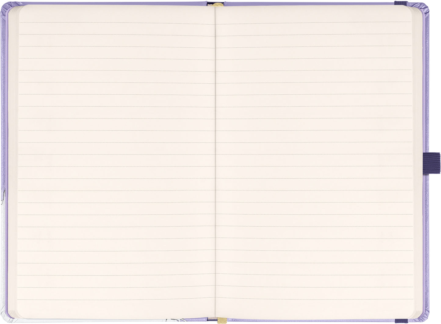 Notizbuch Kleiner Prinz, liniert, 13 x 21 cm