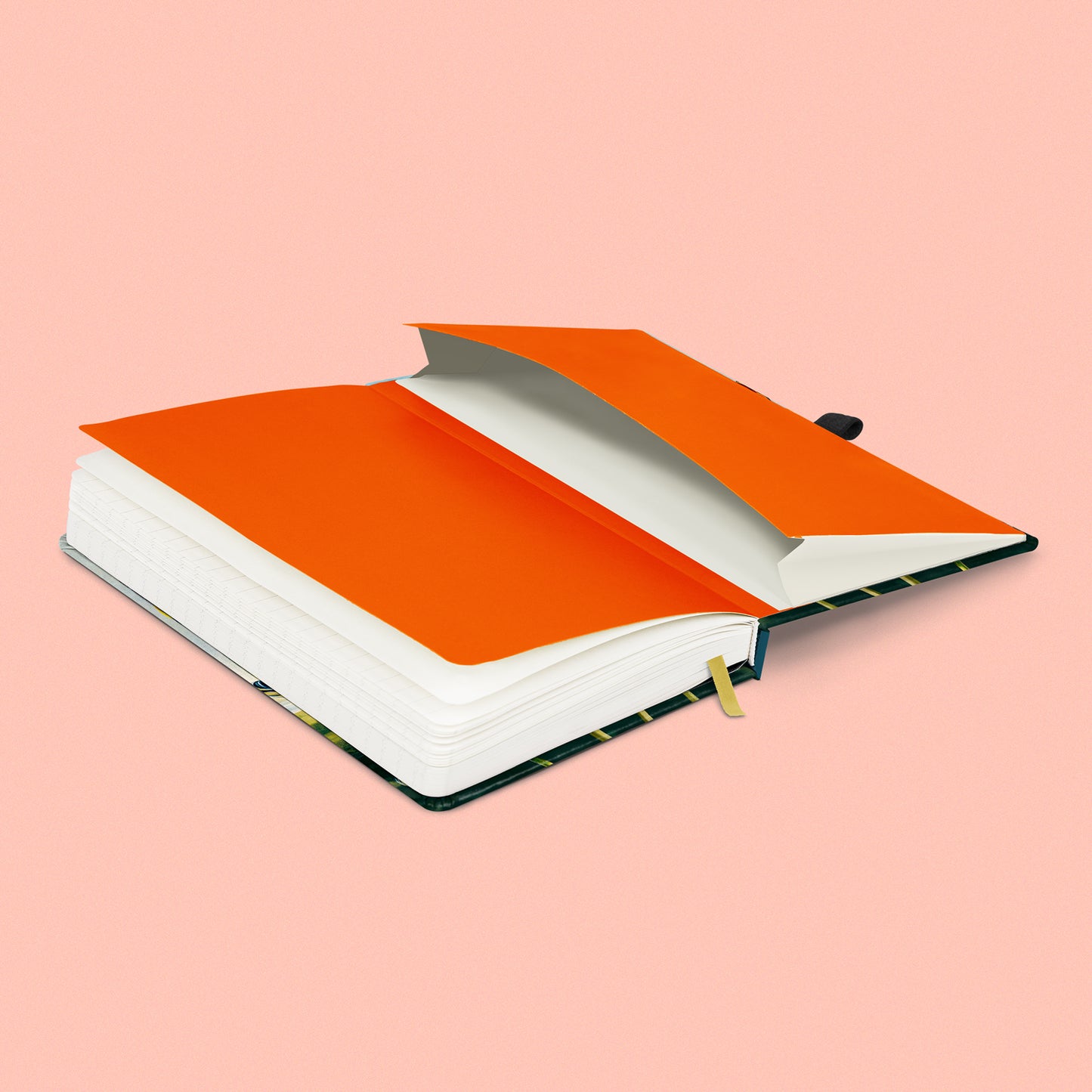 Notizbuch Tulpen von Kateřina Winterová, liniert, 13 x 21 cm