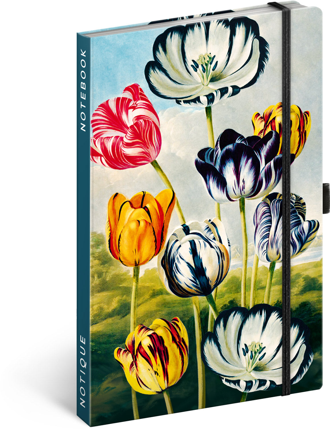 Notizbuch Tulpen von Kateřina Winterová, liniert, 13 x 21 cm