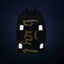 Skate Gold Schulrucksack-Set 5tlg.: Schulrucksack, Federmäppchen, Turnbeutel, Bauchtasche, Laptophülle