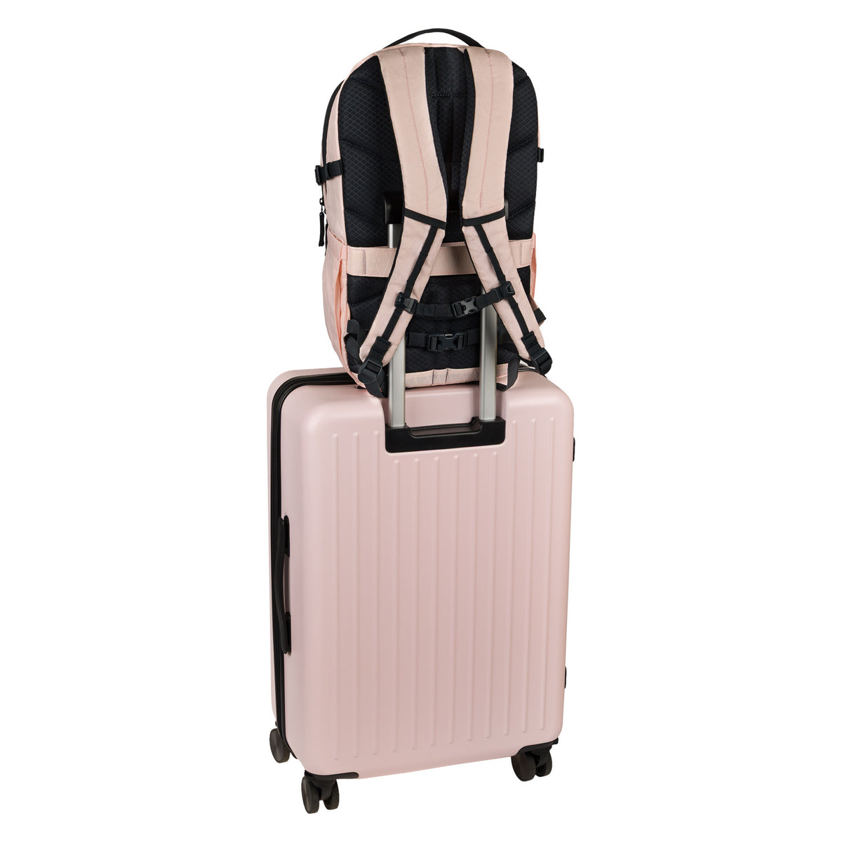 Reiserucksack Dash Max Pink TX