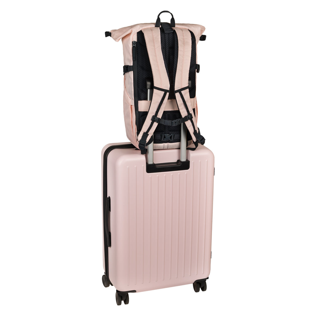 Reiserucksack Roll Pink TX