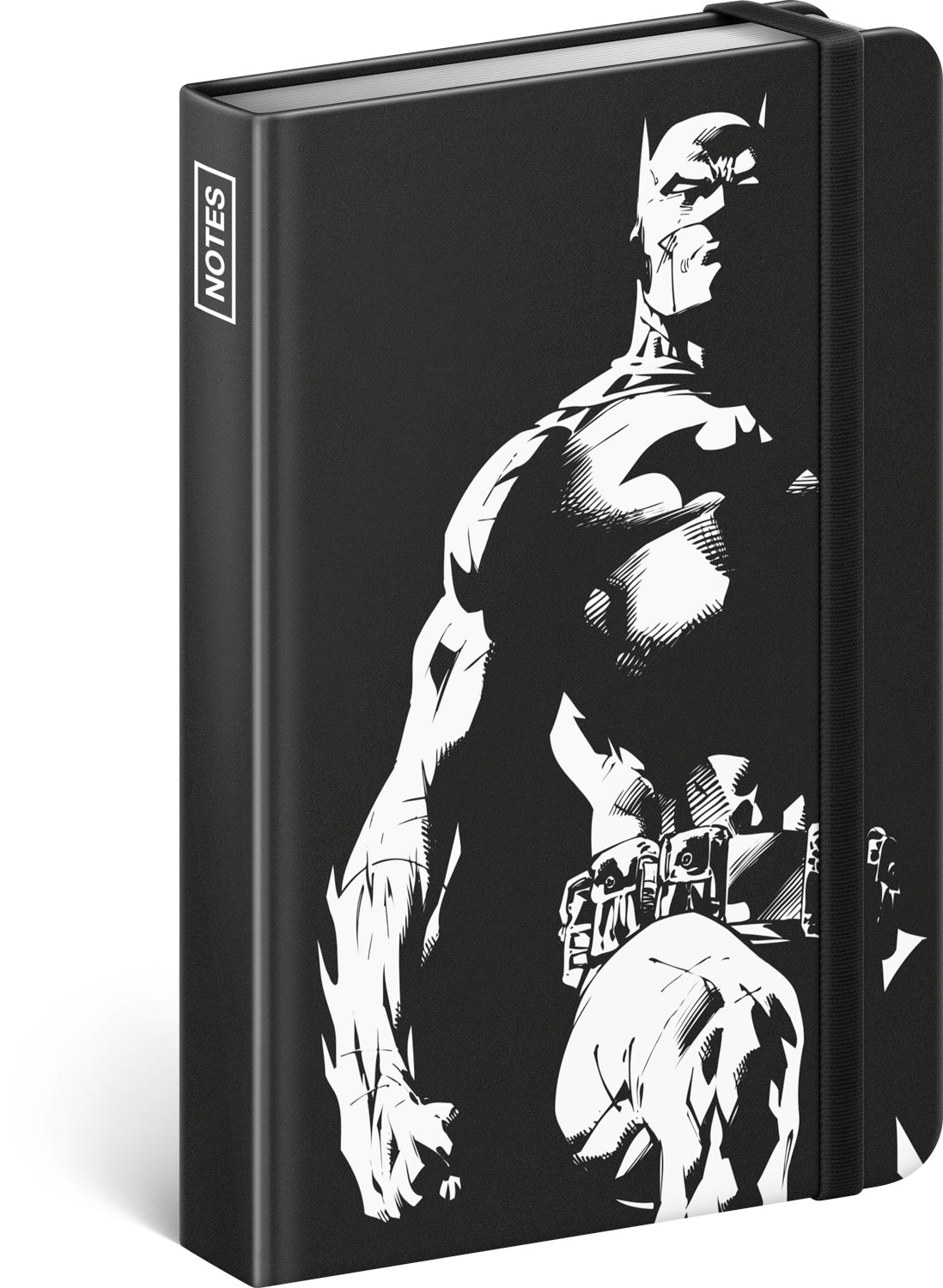Notizbuch Batman - Dark Knight, liniert, 11 x 16 cm